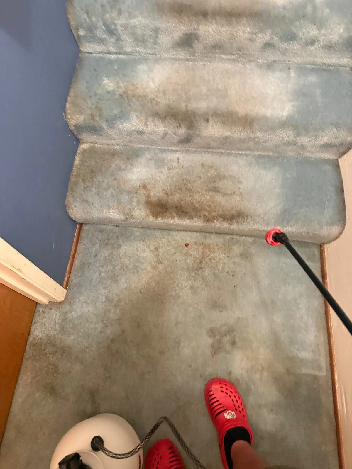 Before — Carpet Cleaning in Shingle Springs, CA — October 2026