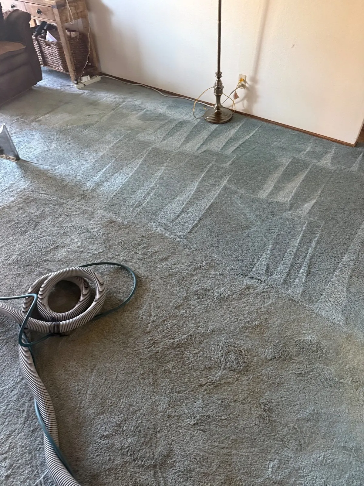 After — Carpet Cleaning in Shingle Springs, CA — October 2026