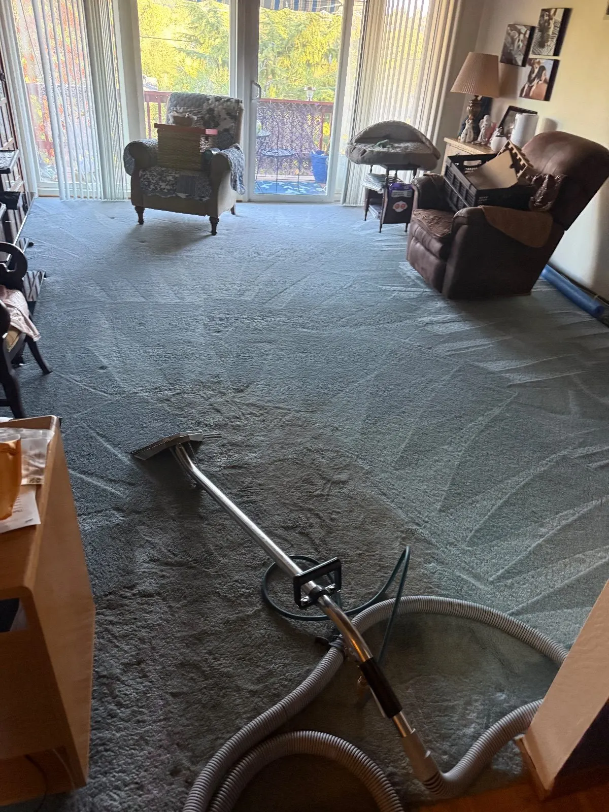 After — Carpet Cleaning in Shingle Springs, CA — October 2026