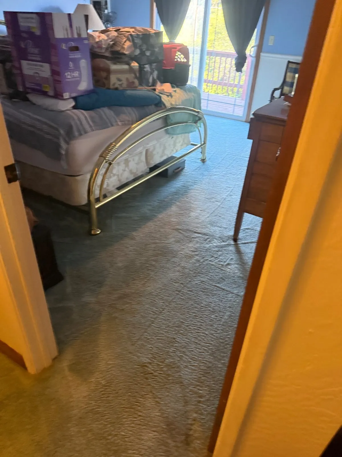 After — Carpet Cleaning in Shingle Springs, CA — October 2026