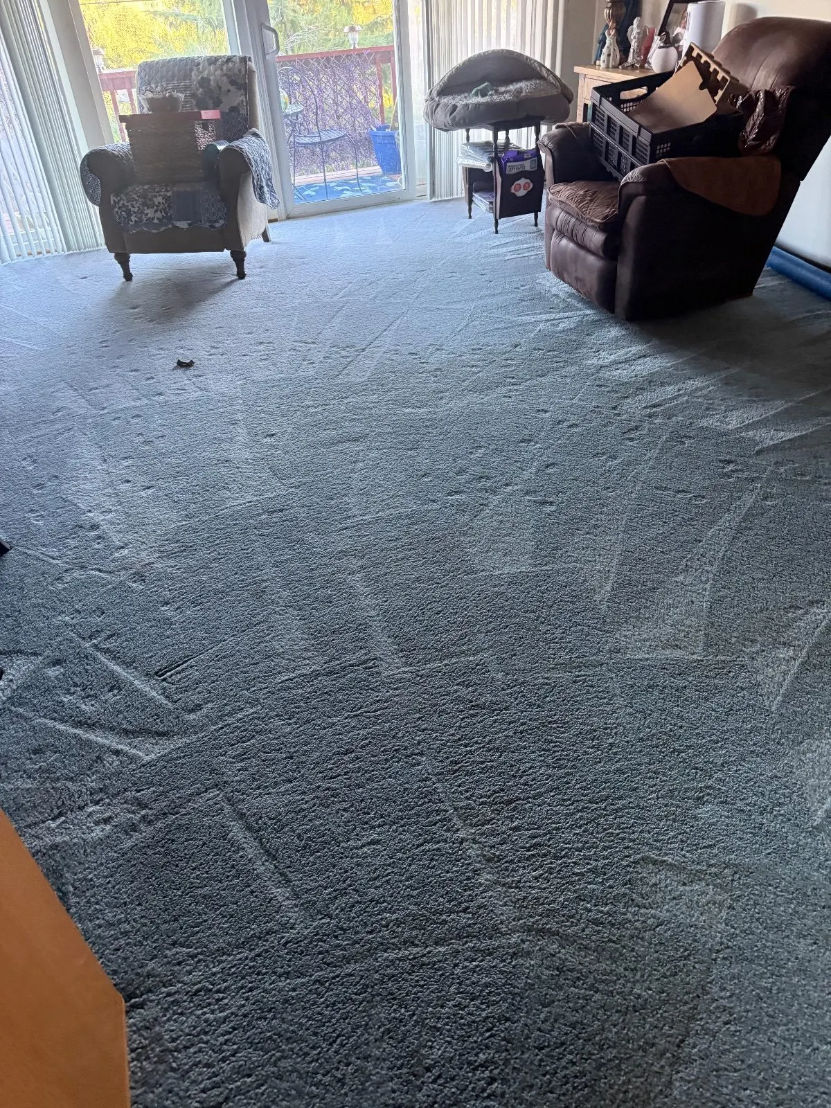 After — Carpet Cleaning in Shingle Springs, CA — October 2026