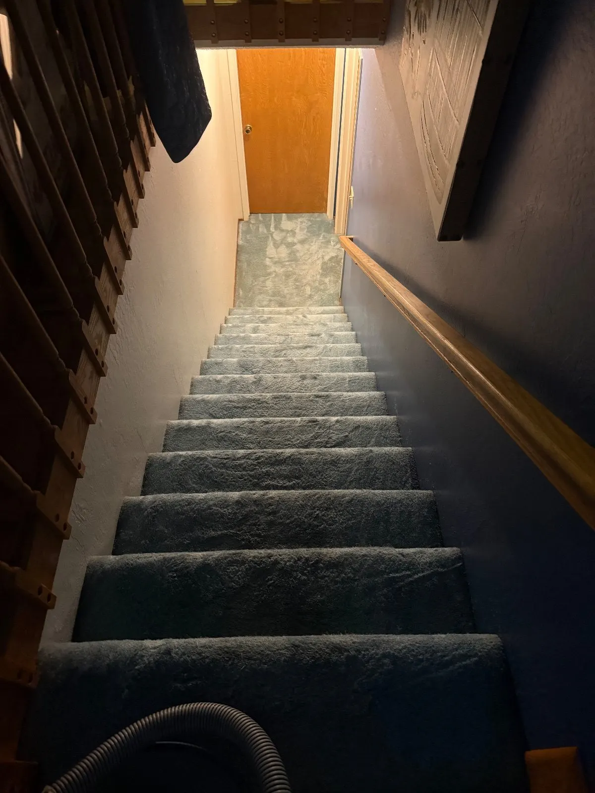 After — Carpet Cleaning in Shingle Springs, CA — October 2026