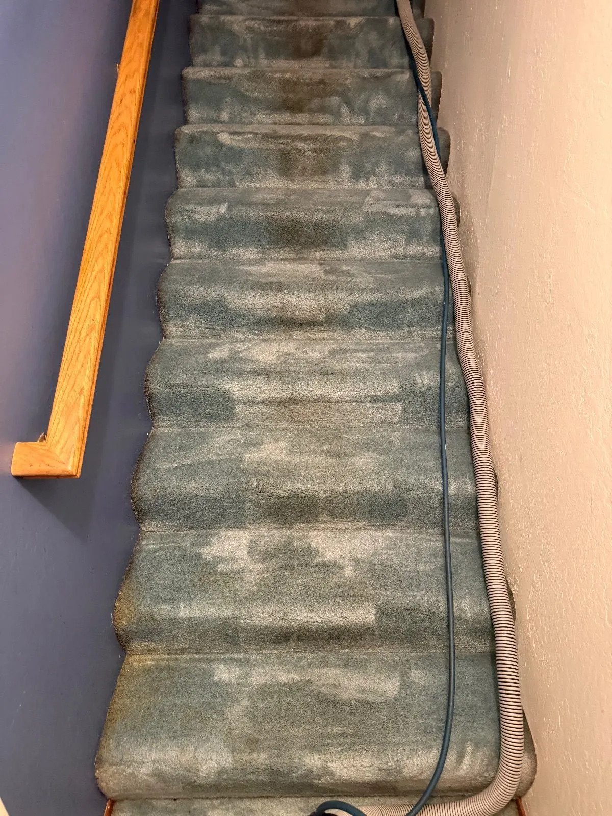 After — Carpet Cleaning in Shingle Springs, CA — October 2026