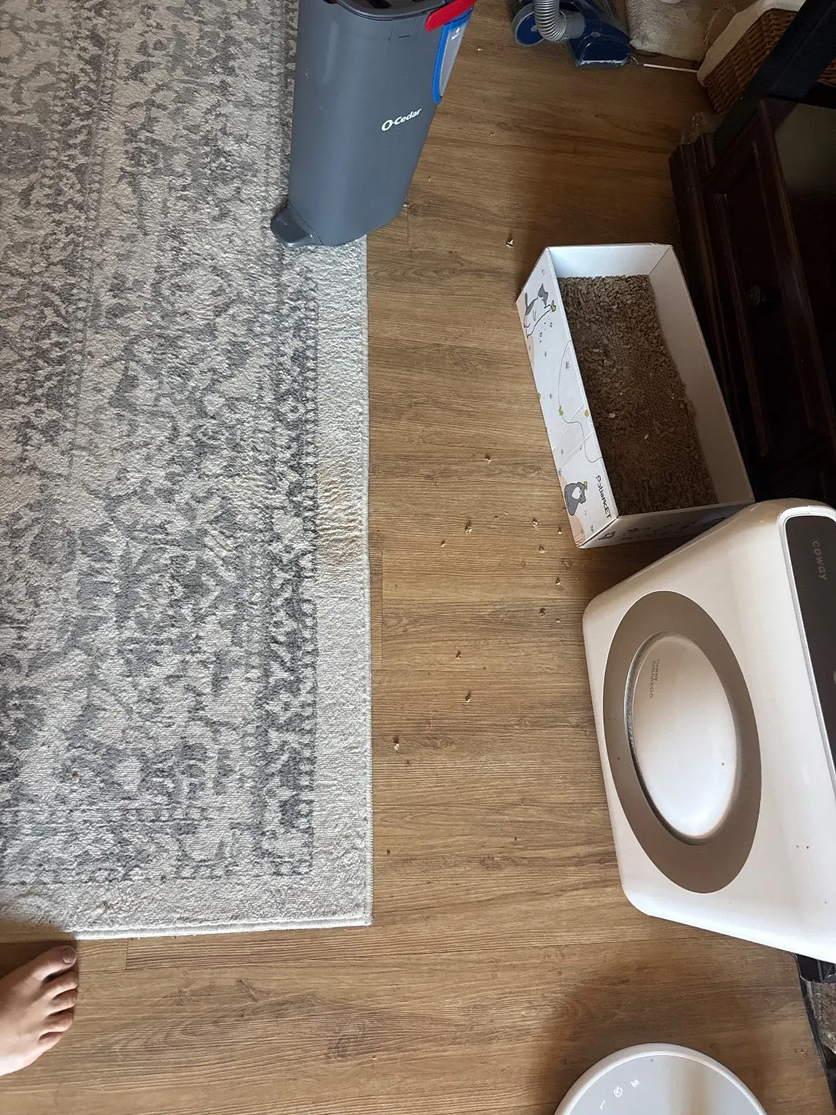 Before — House Cleaning in Citrus Heights, CA — October 2026
