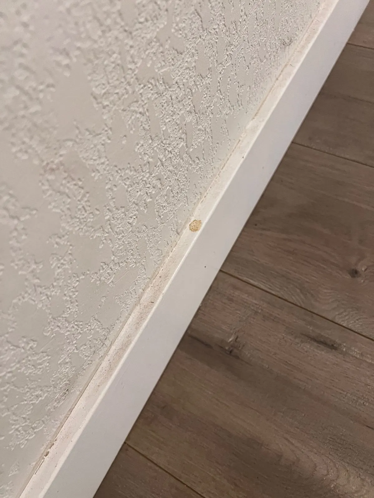 Before — House Cleaning in Rancho Cordova, CA — October 2026