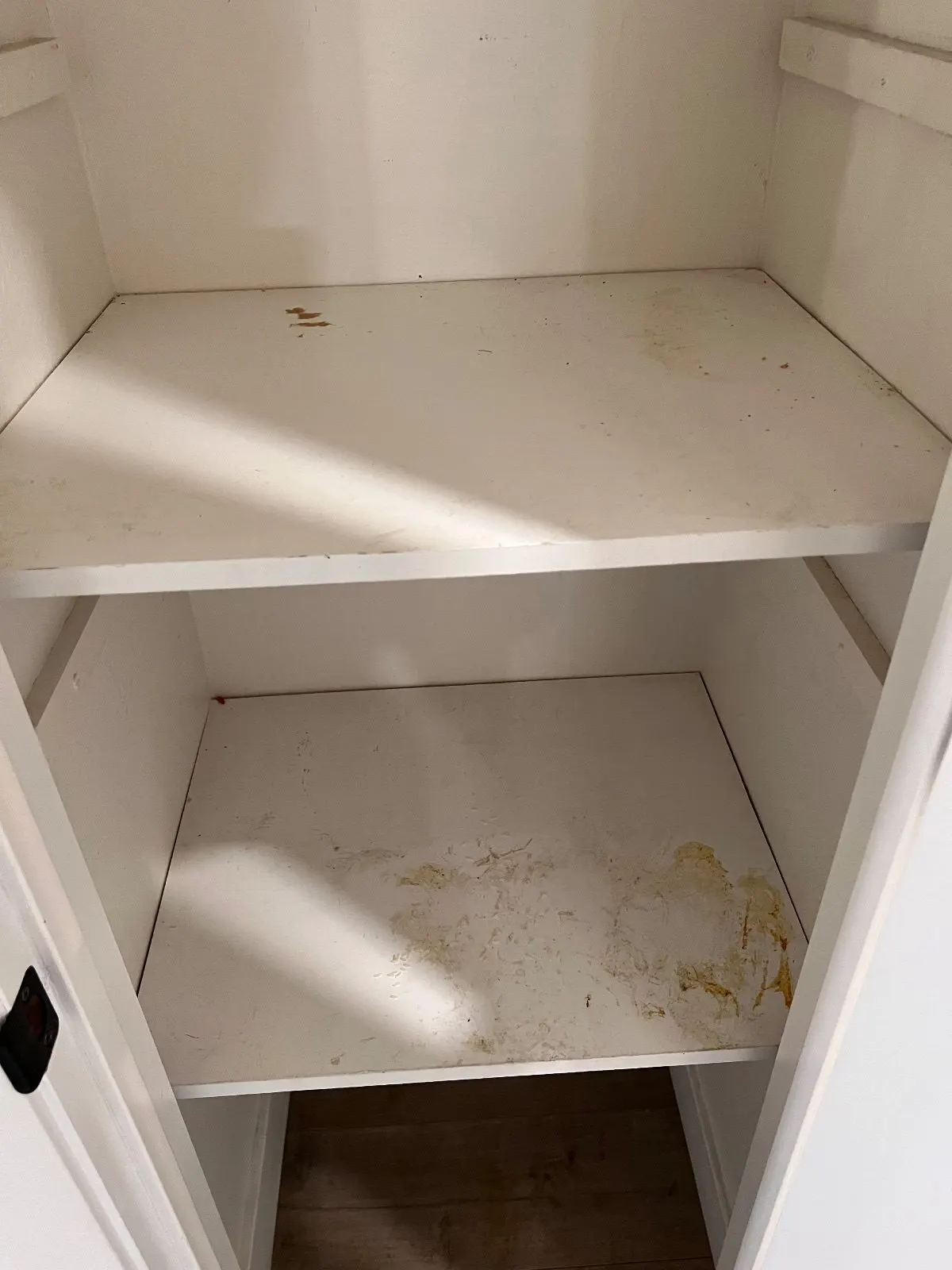 Before — House Cleaning in Rancho Cordova, CA — October 2026