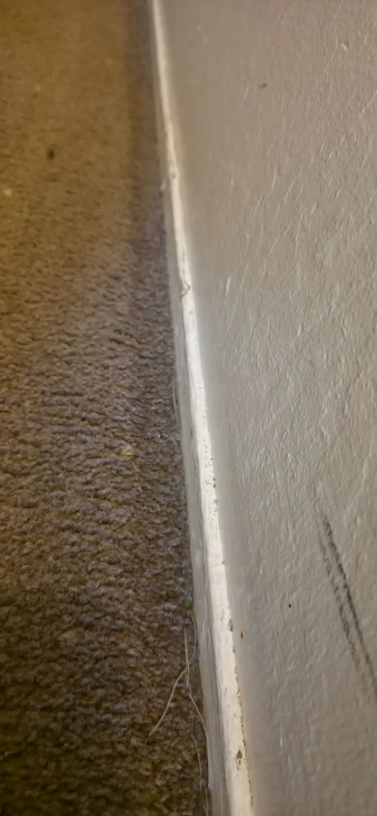 After — House Cleaning in Sacramento, CA — July 2026