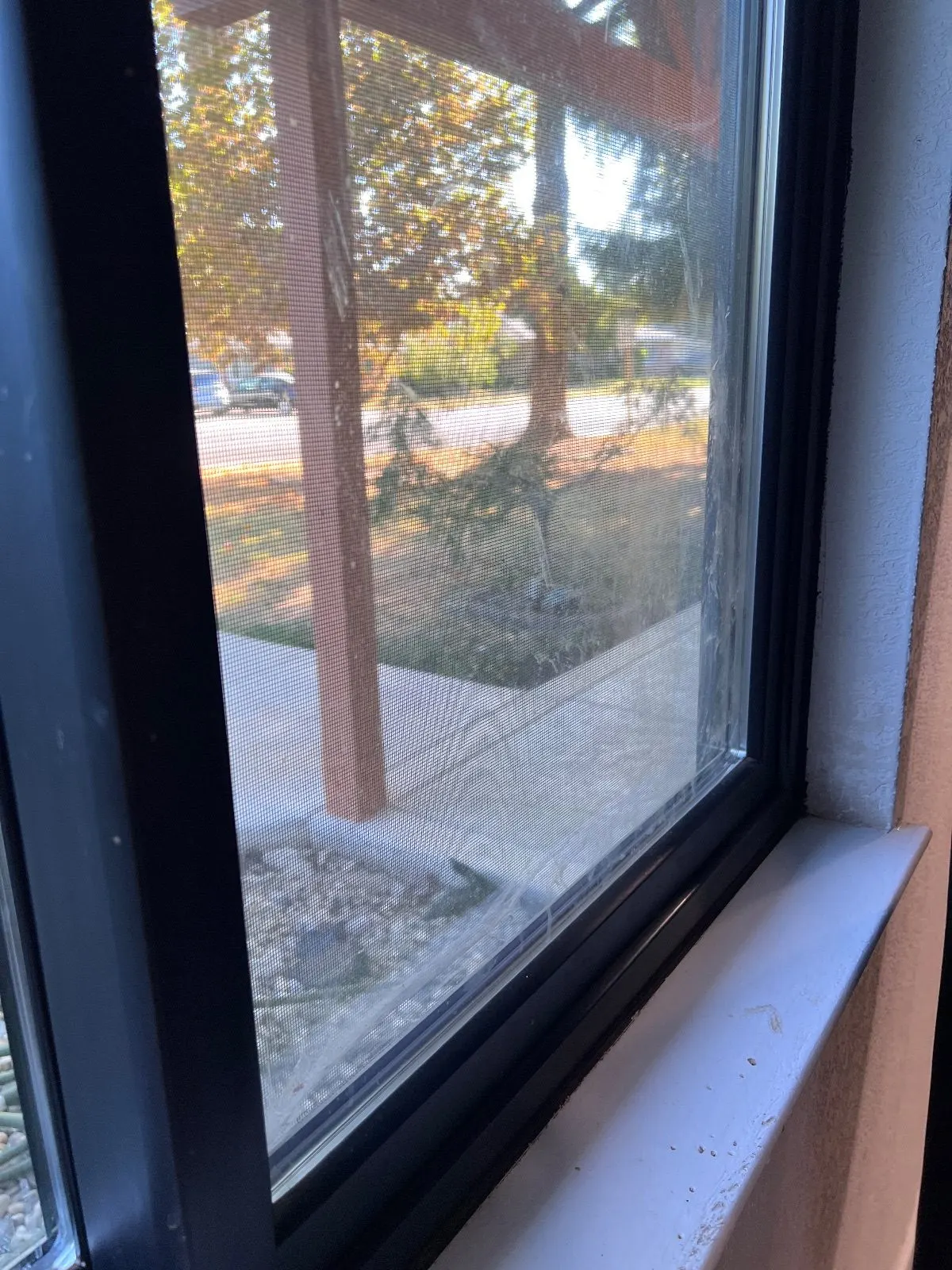 Before — House Cleaning in Rancho Cordova, CA — October 2026
