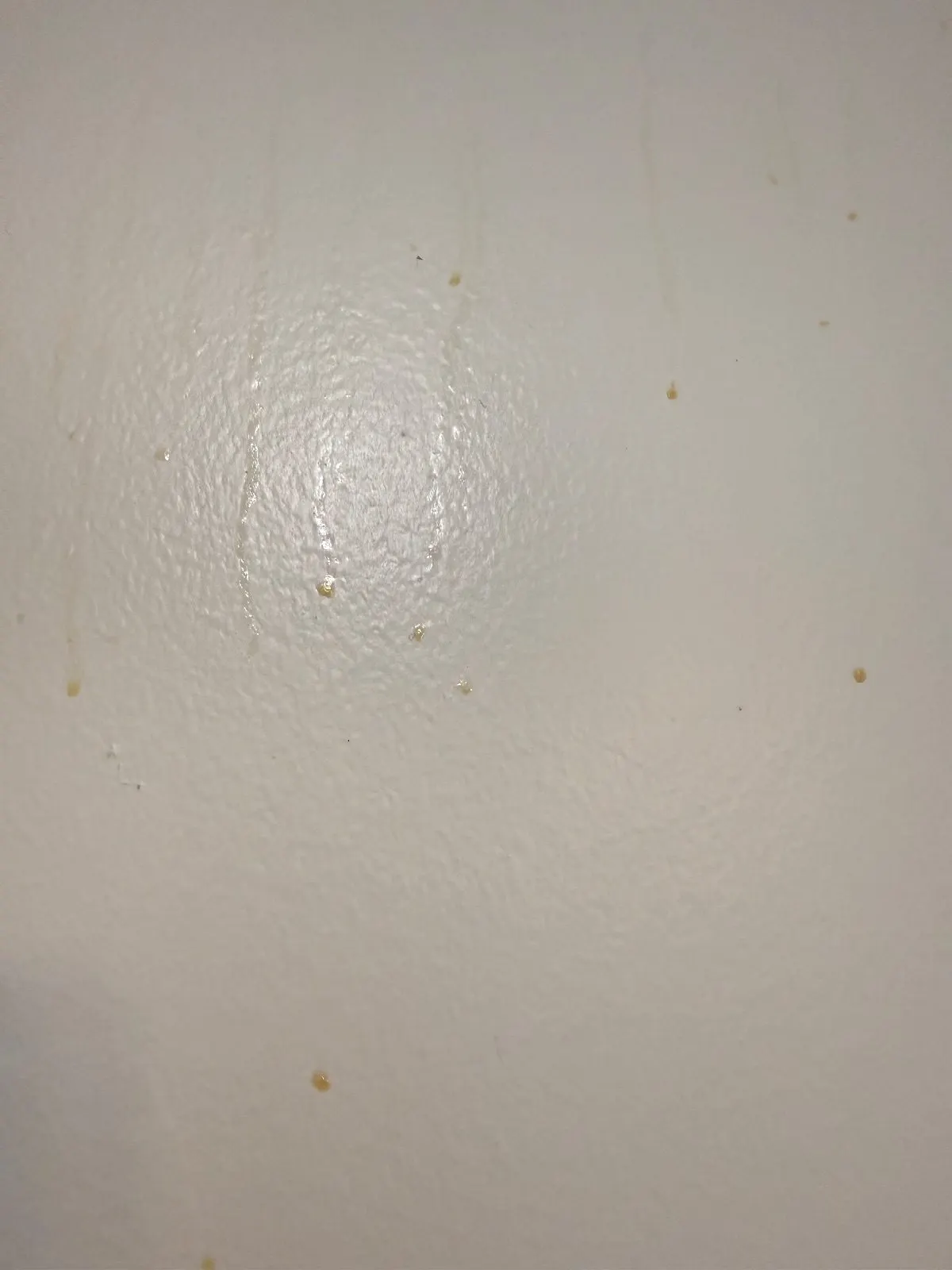 Before — House Cleaning in Davis, CA — October 2026