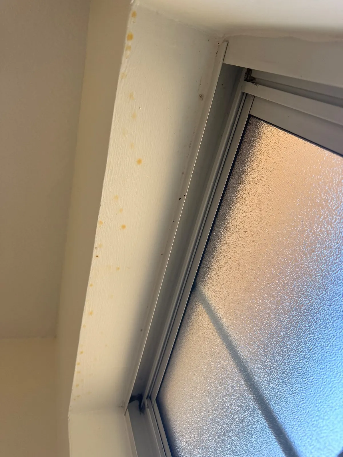 Before — House Cleaning in Davis, CA — October 2026