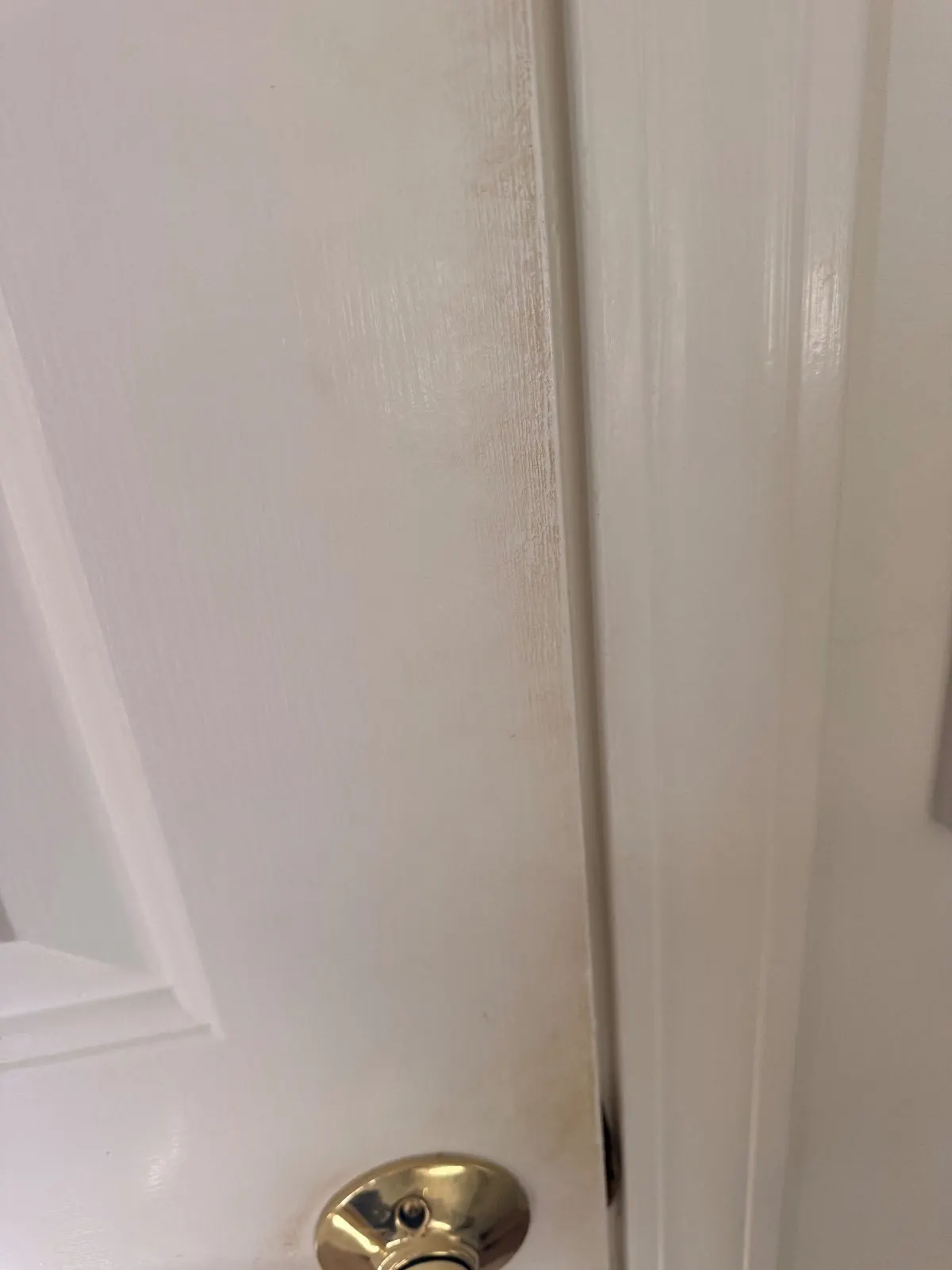 Before — House Cleaning in Davis, CA — October 2026
