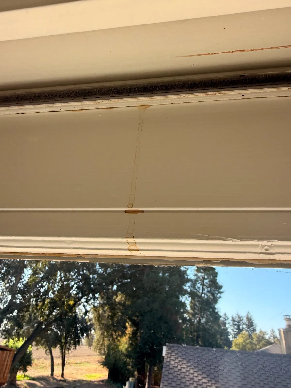 Before — House Cleaning in Davis, CA — October 2026