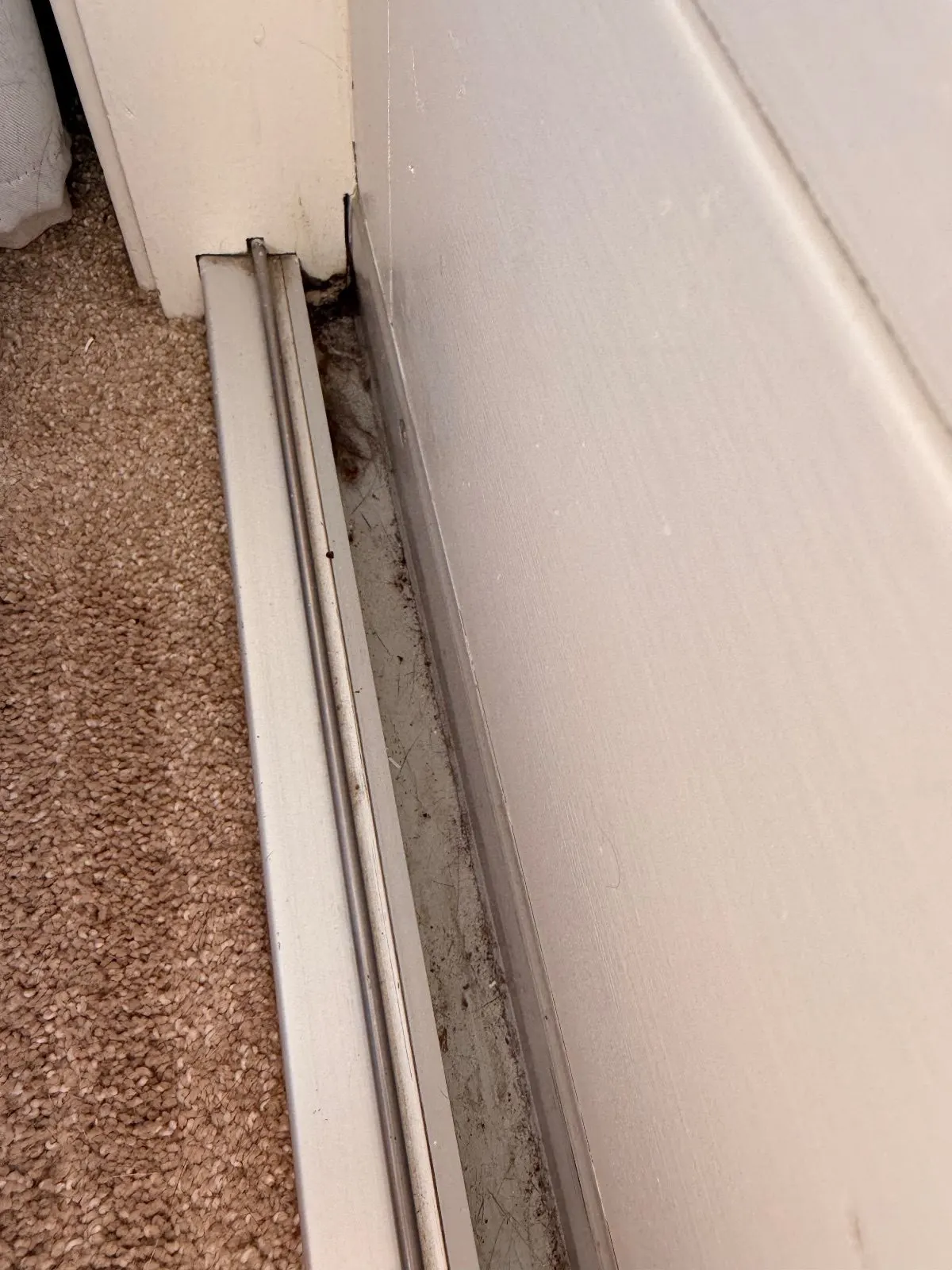 Before — House Cleaning in Davis, CA — October 2026