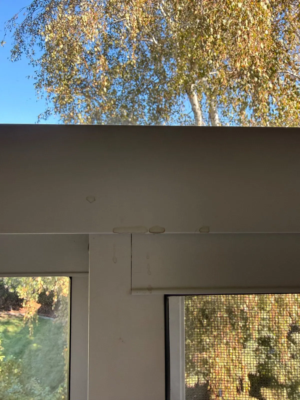 Before — House Cleaning in Davis, CA — October 2026
