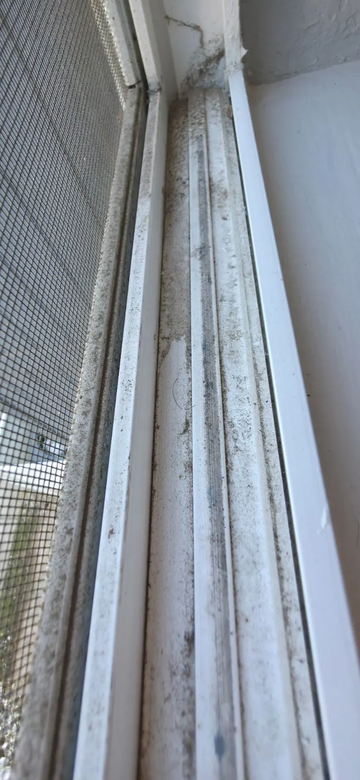 Before — House Cleaning in Citrus Heights, CA — October 2026
