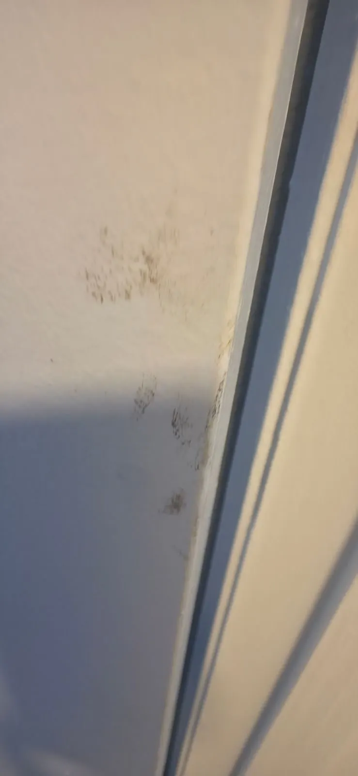 Before — House Cleaning in Citrus Heights, CA — October 2026