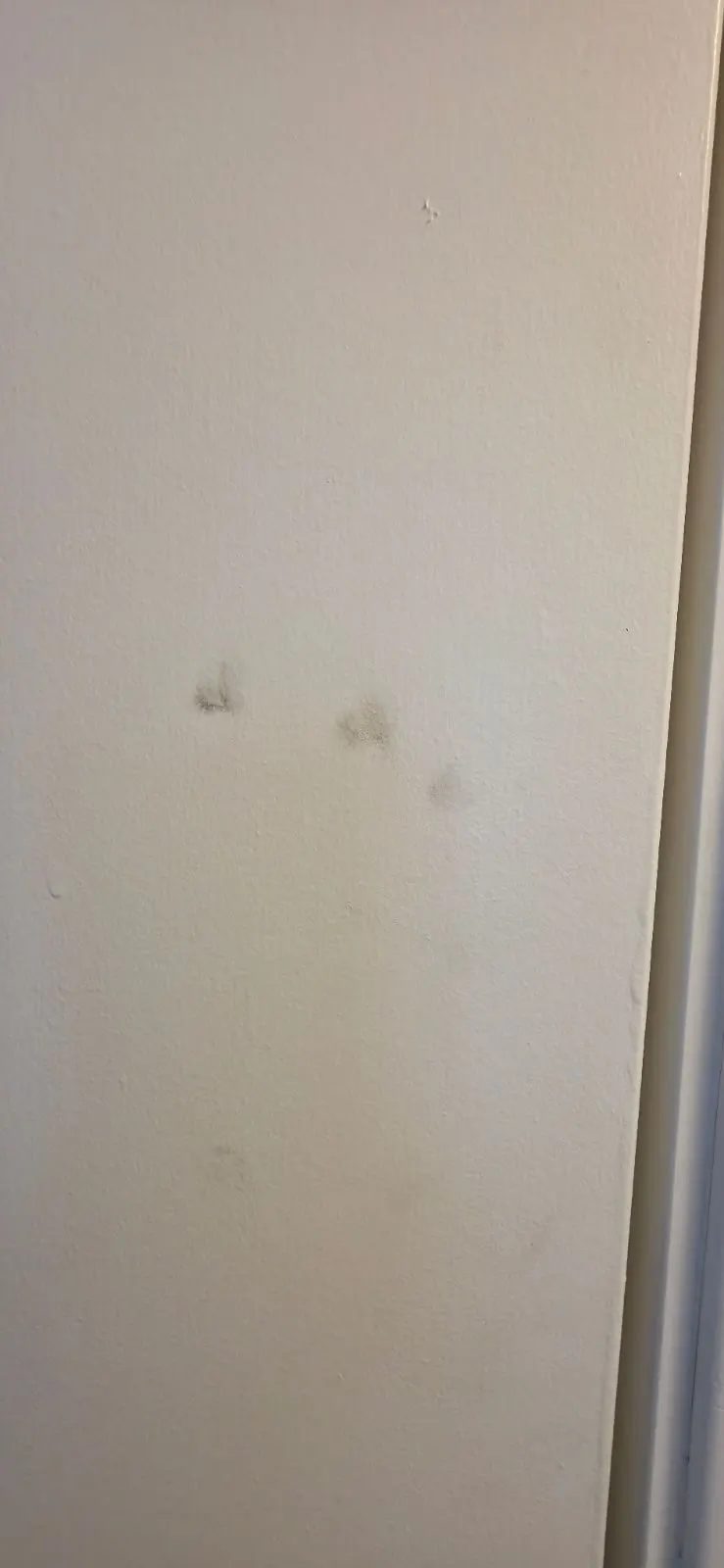 Before — House Cleaning in Citrus Heights, CA — October 2026