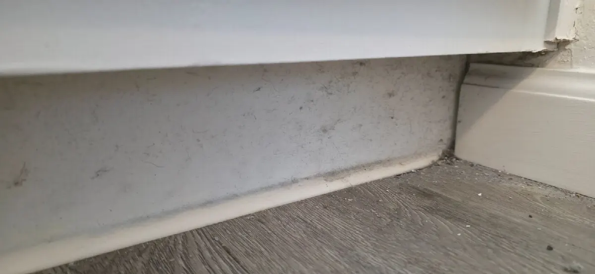 Before — House Cleaning in Citrus Heights, CA — October 2026
