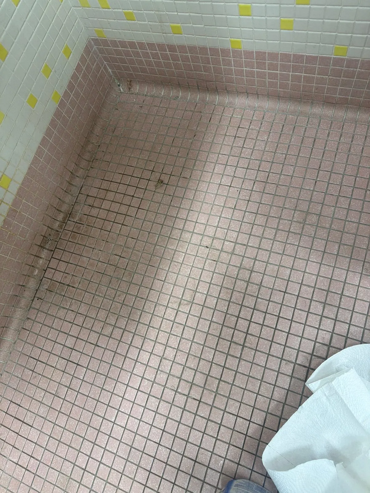 Before — Floor Cleaning in Sacramento, CA — October 2026