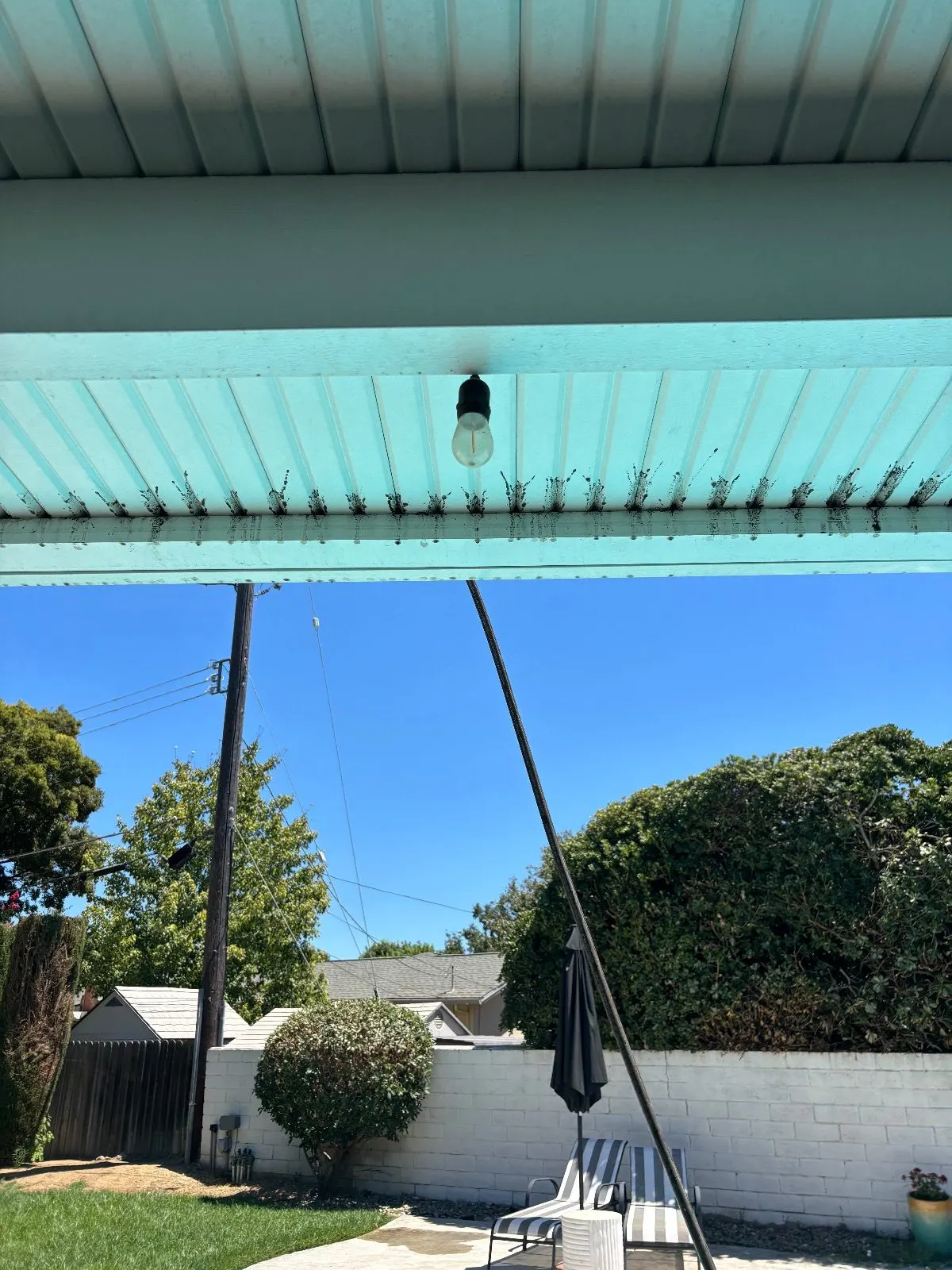 After — Gutter Cleaning and Maintenance in Woodland, CA — July 2026