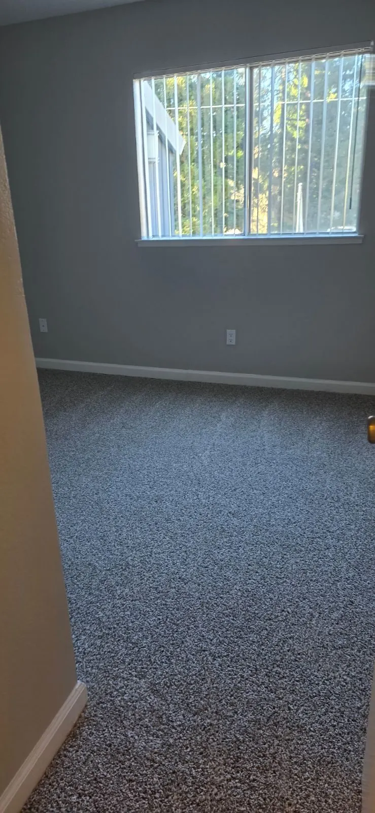 After — House Cleaning in Citrus Heights, CA — October 2026