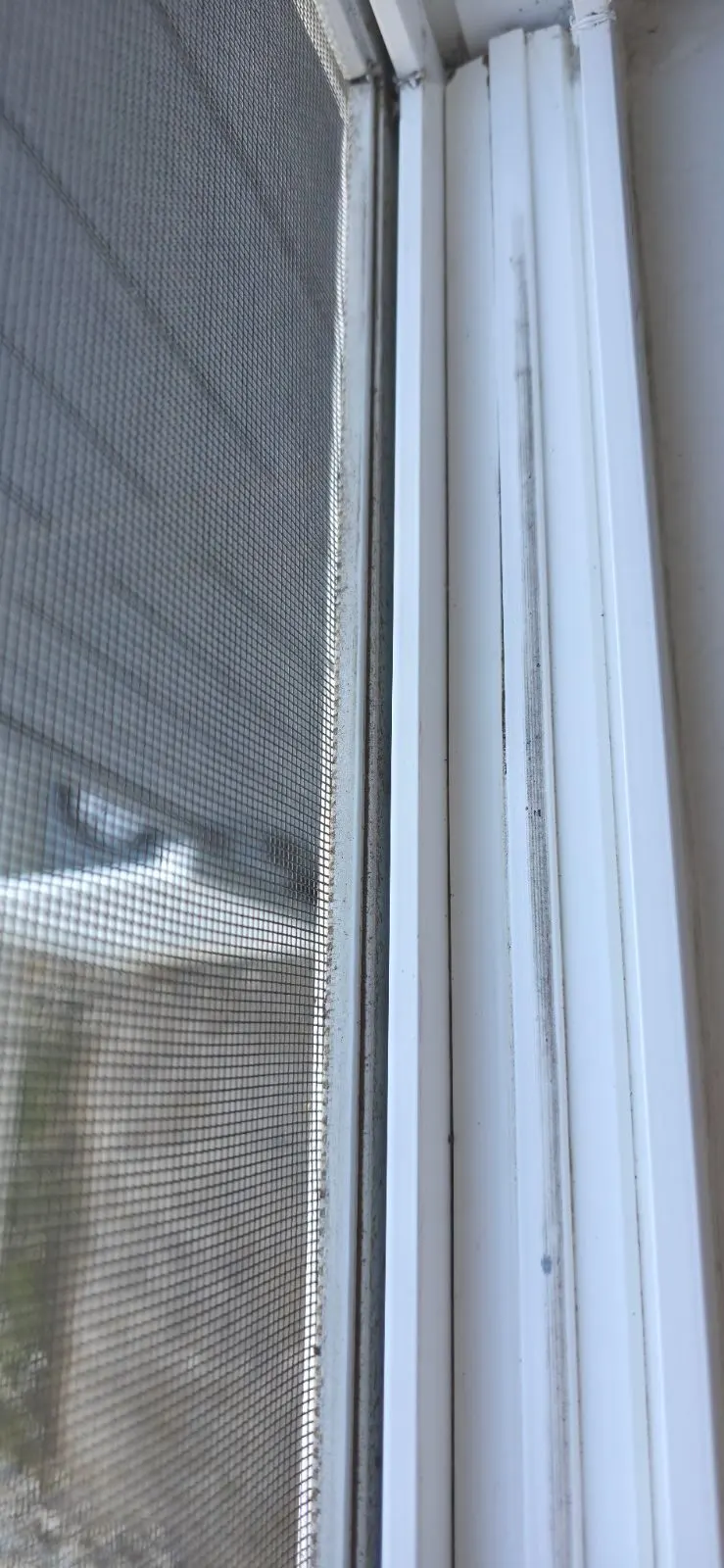 After — House Cleaning in Citrus Heights, CA — October 2026