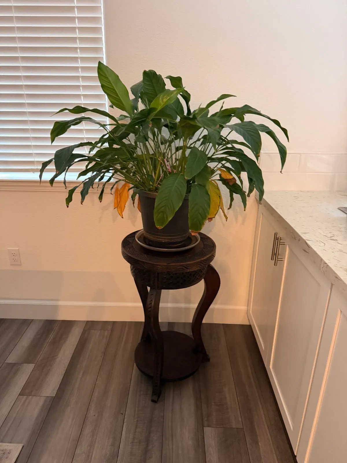 Before — House Cleaning in Sacramento, CA — October 2026