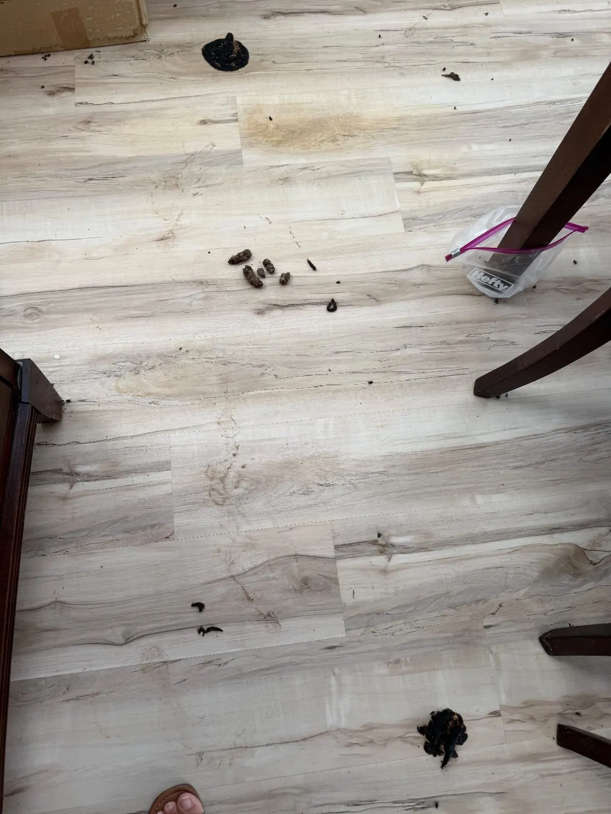 Before — House Cleaning in Roseville, CA — October 2026