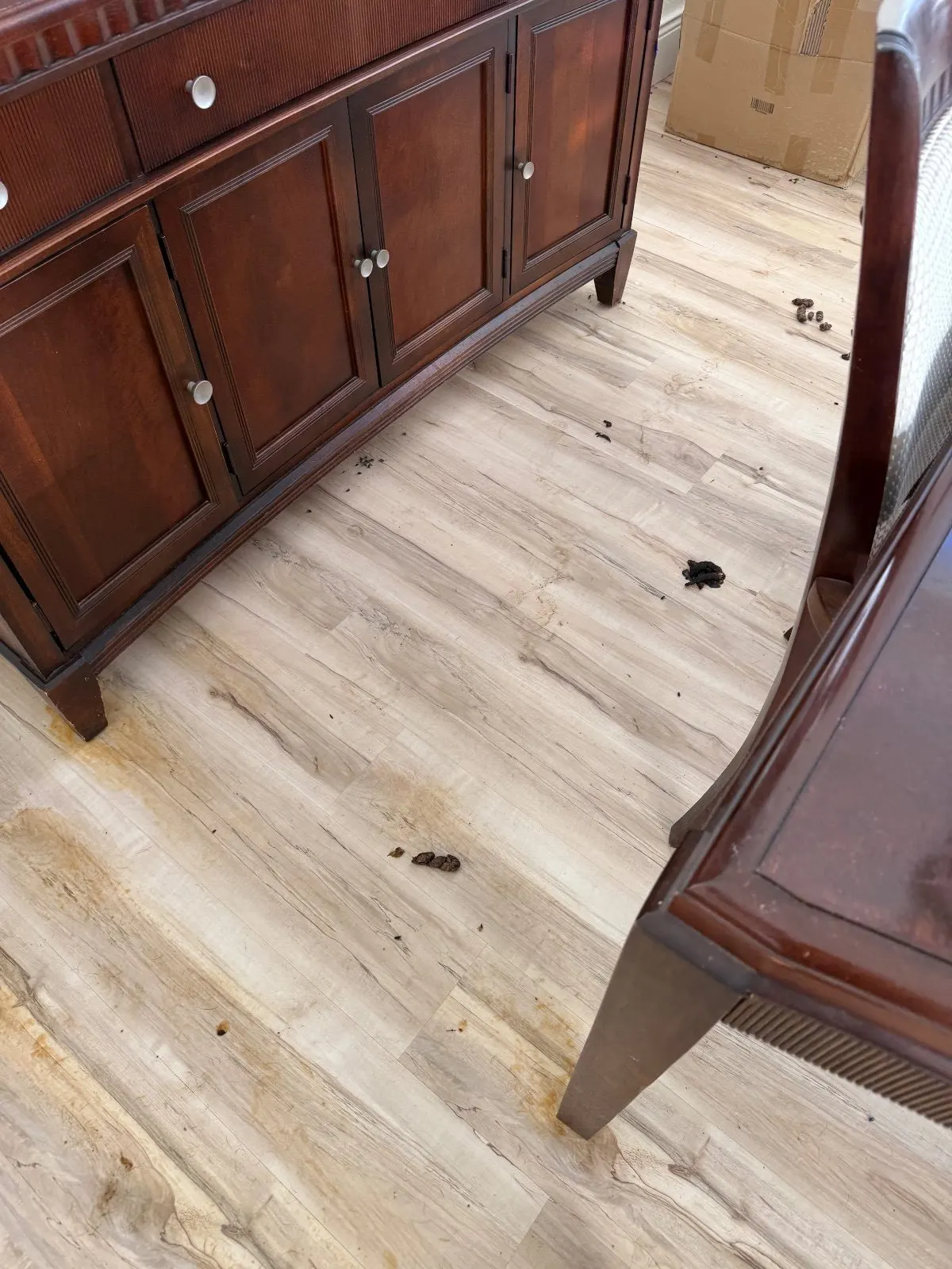 Before — House Cleaning in Roseville, CA — October 2026