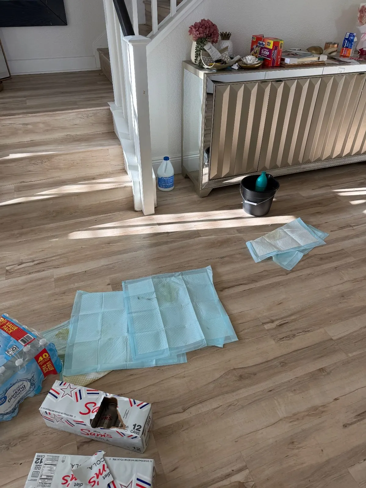 Before — House Cleaning in Roseville, CA — October 2026