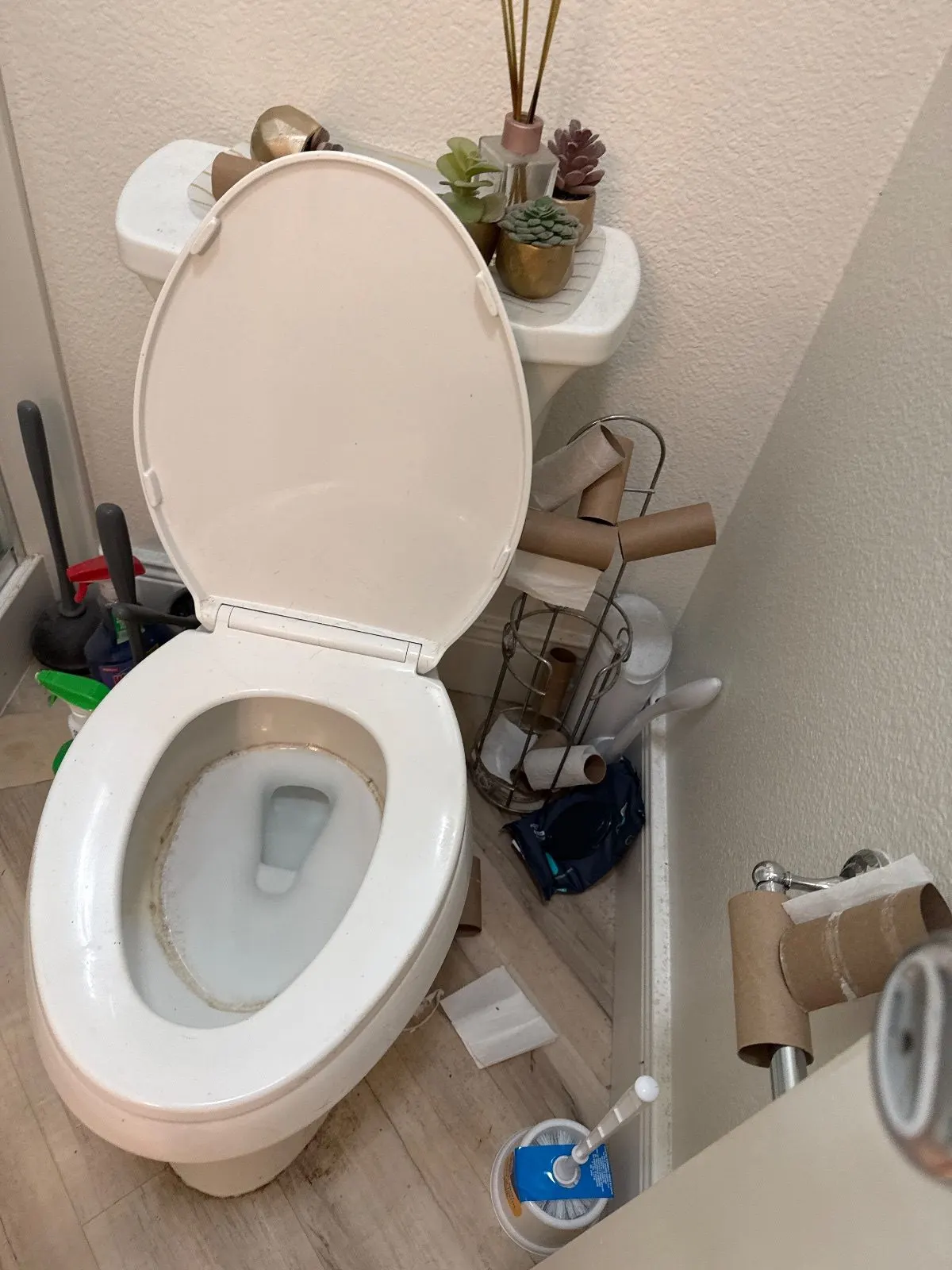 Before — House Cleaning in Roseville, CA — October 2026