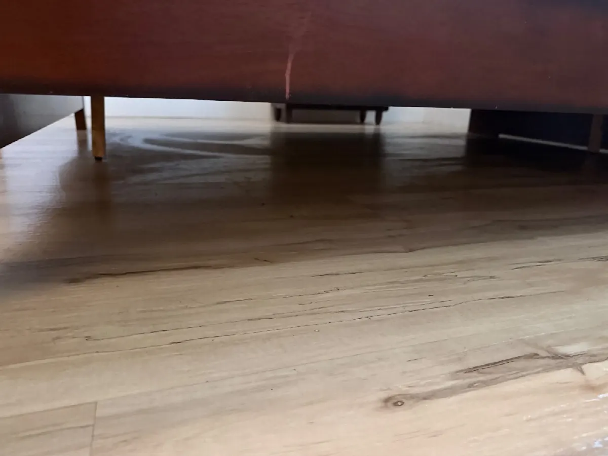 After — House Cleaning in Roseville, CA — October 2026