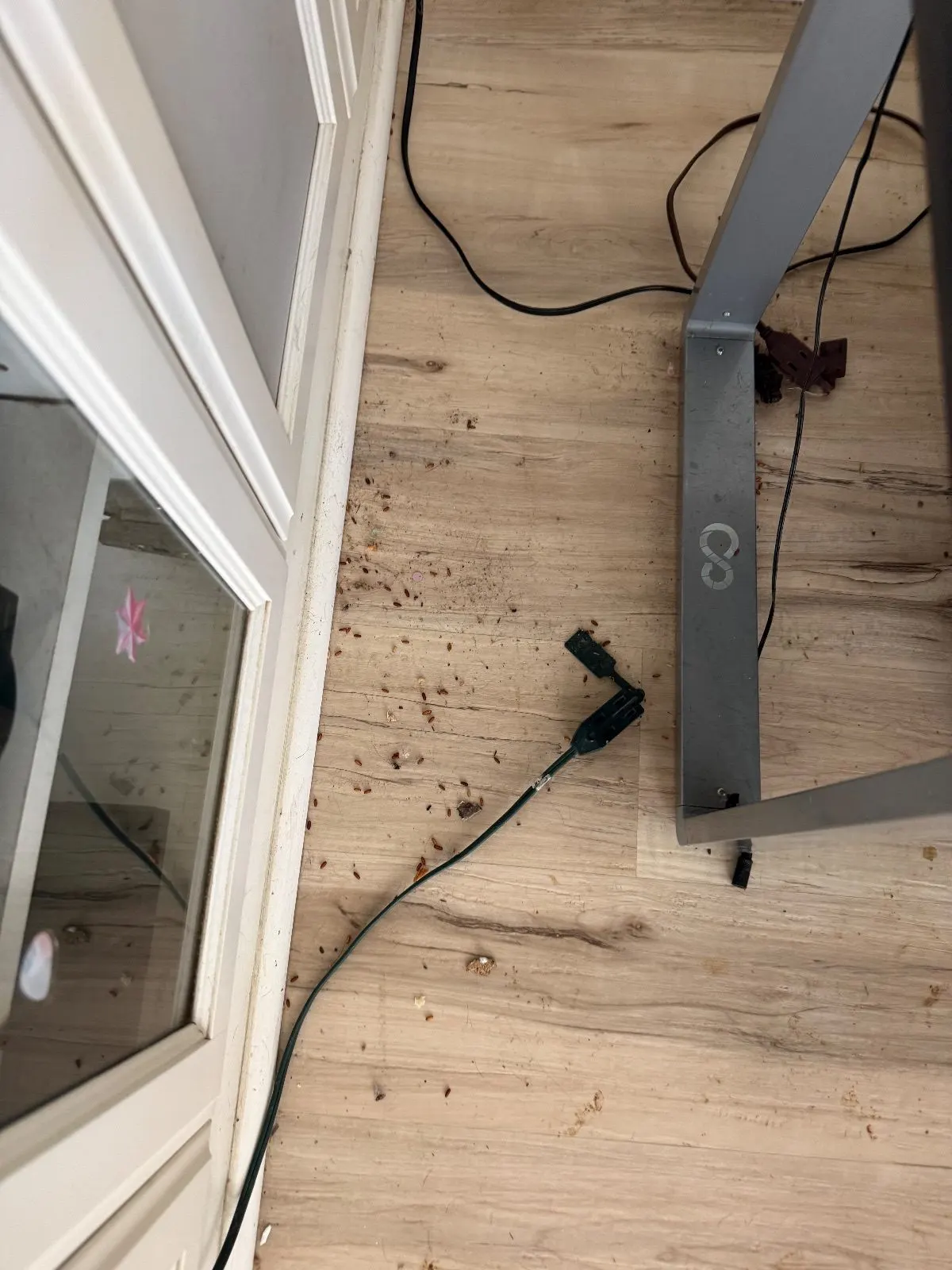 Before — House Cleaning in Roseville, CA — October 2026