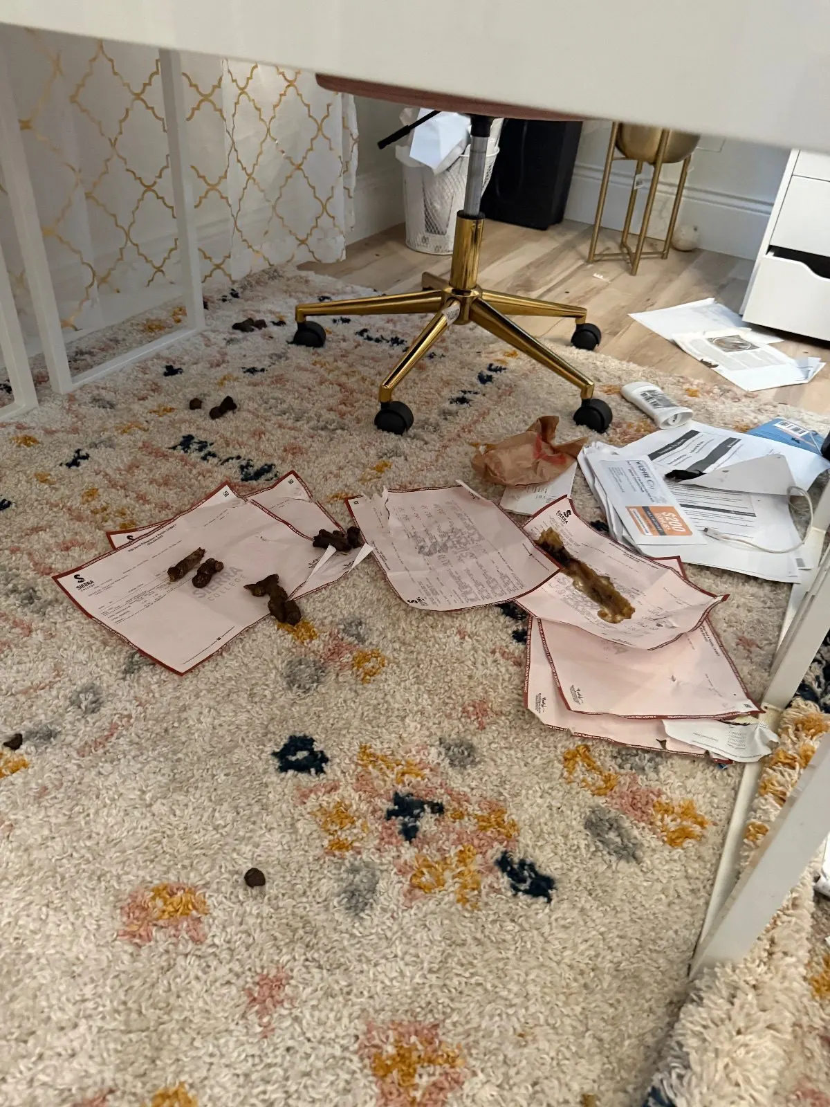 Before — House Cleaning in Roseville, CA — October 2026