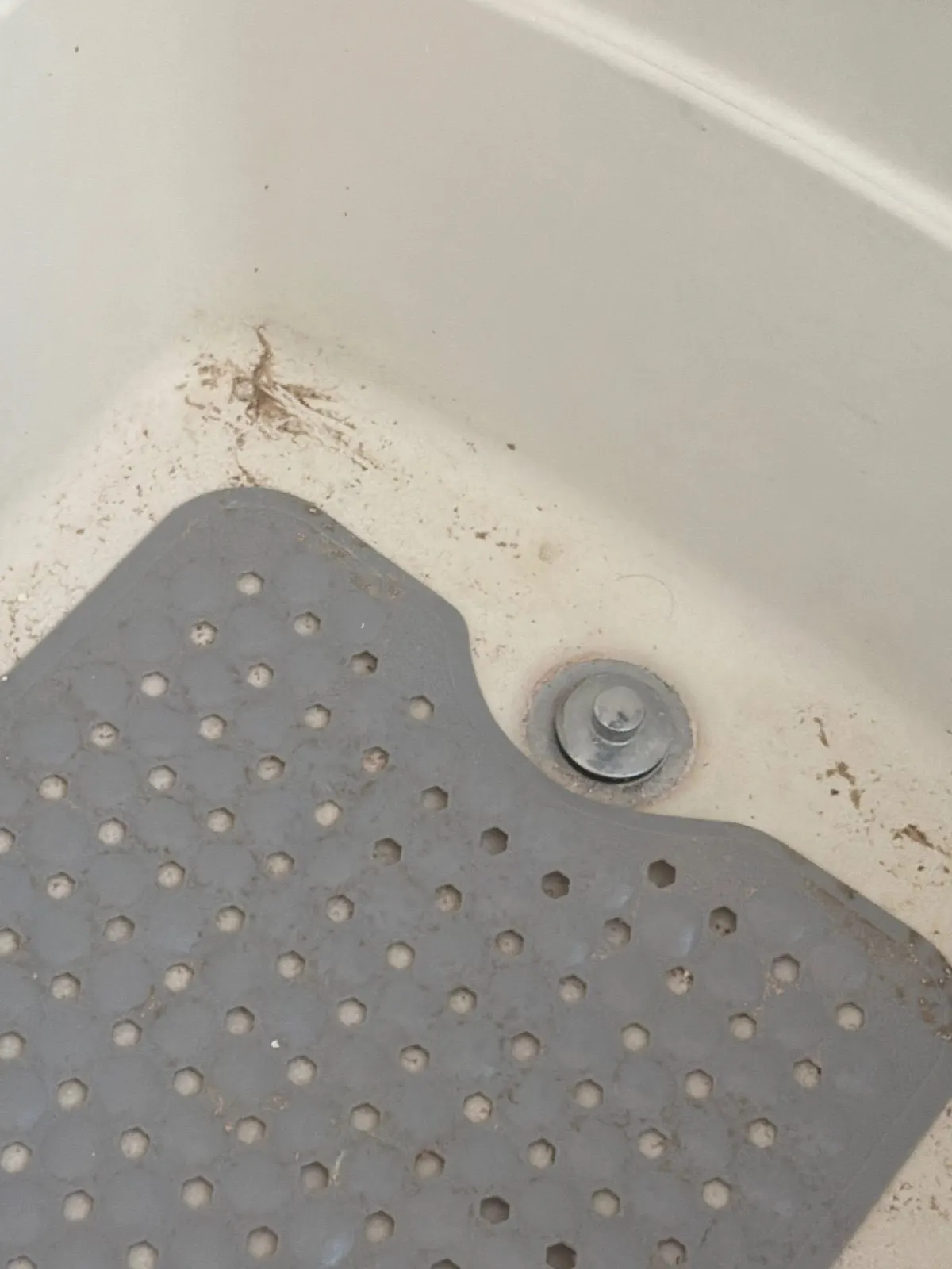 Before — House Cleaning in Folsom, CA — October 2026