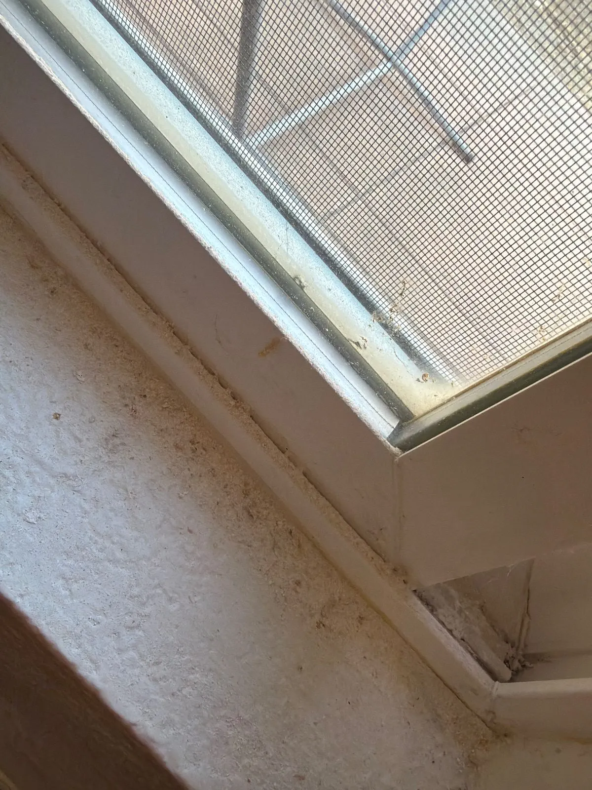 Before — House Cleaning in Folsom, CA — October 2026