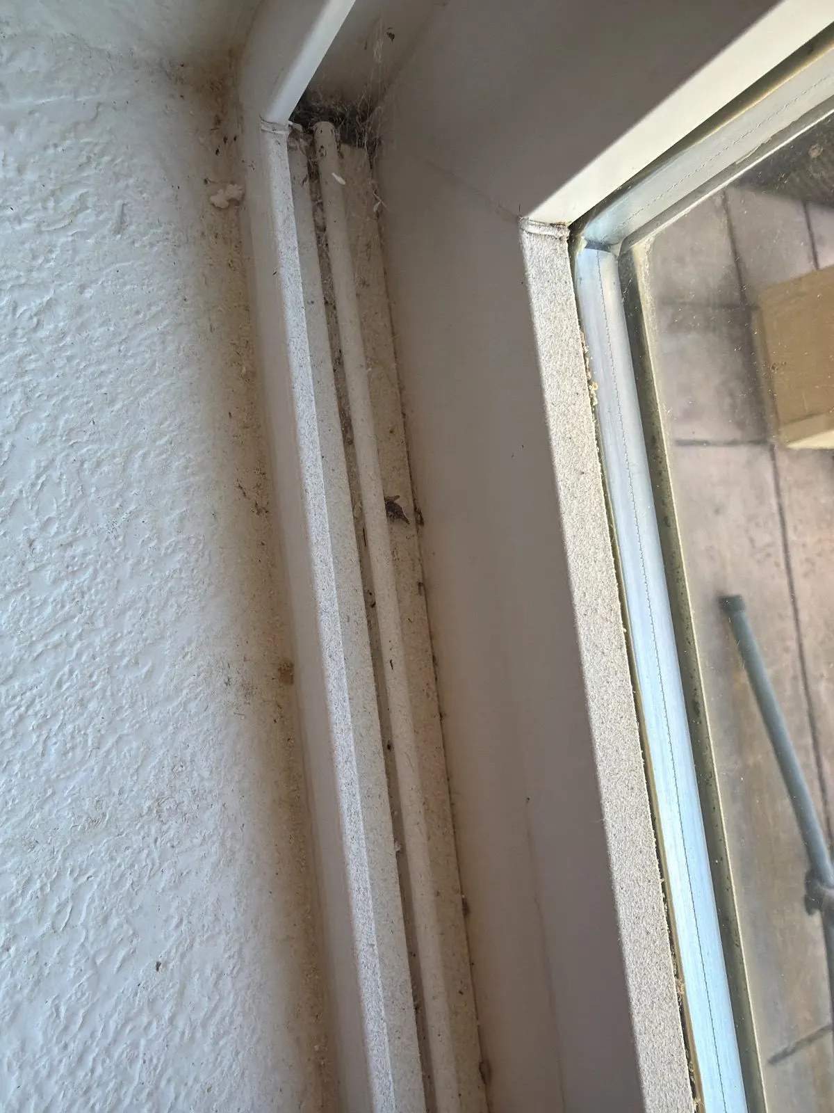 Before — House Cleaning in Folsom, CA — October 2026