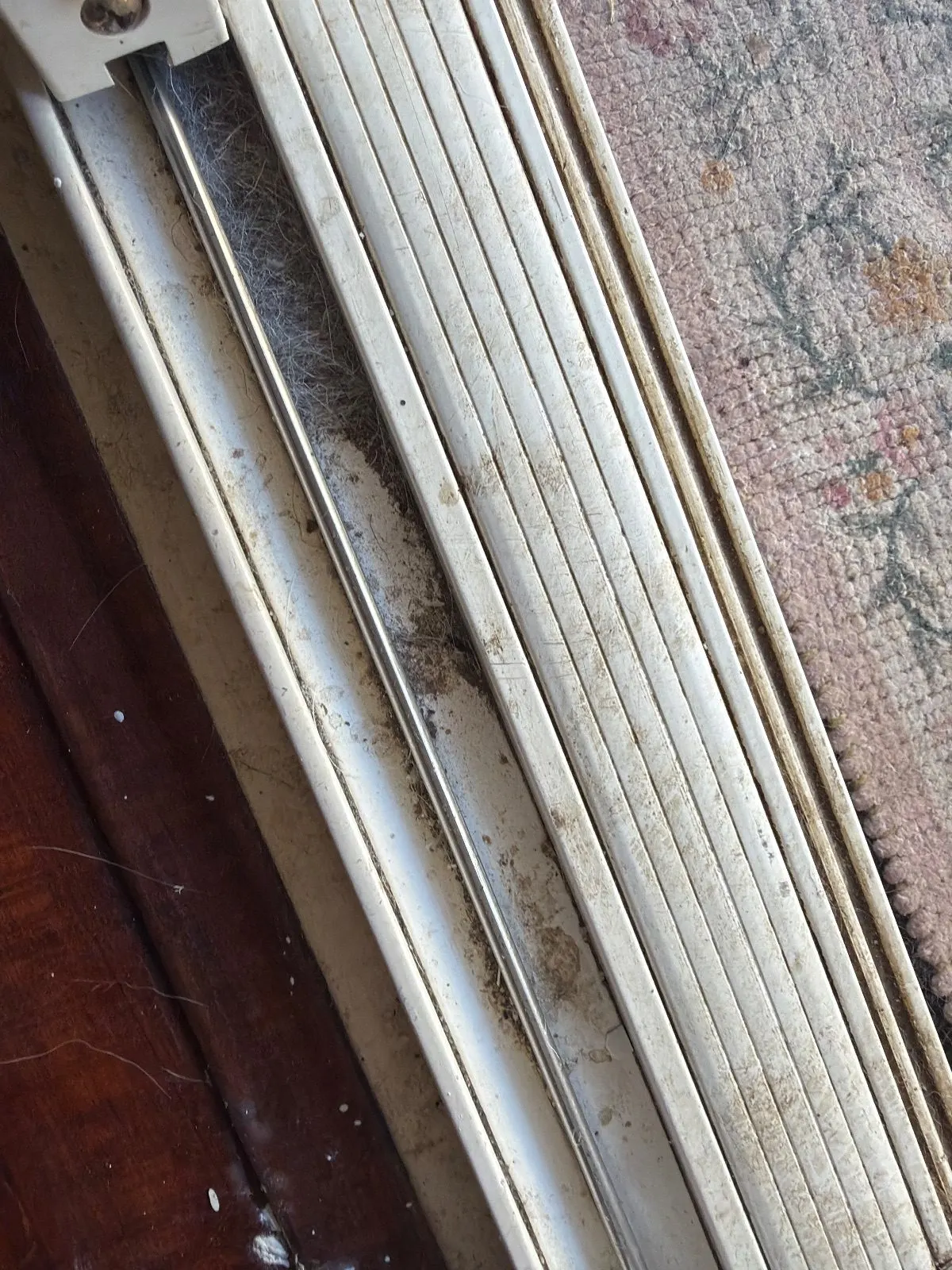 Before — House Cleaning in Folsom, CA — October 2026