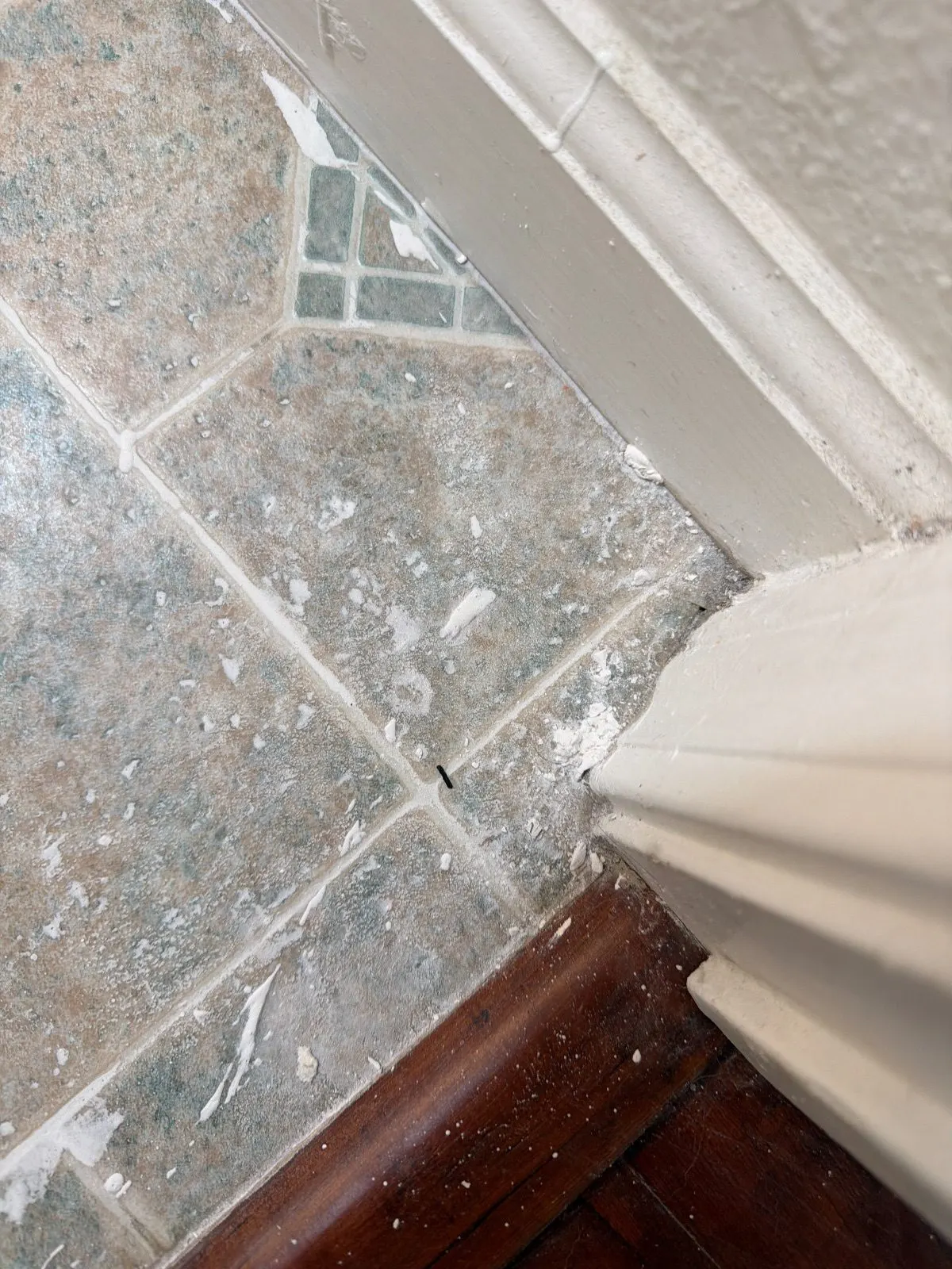 Before — House Cleaning in Folsom, CA — October 2026