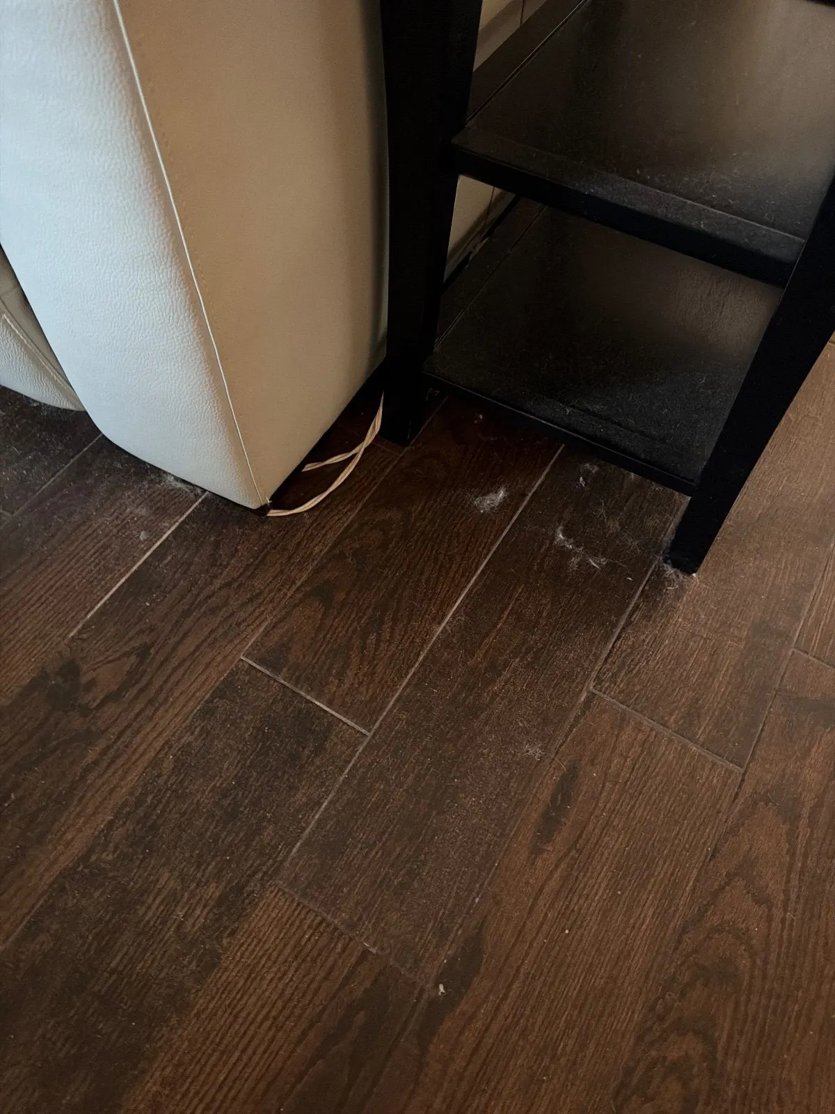 Before — House Cleaning in Rocklin, CA — October 2026