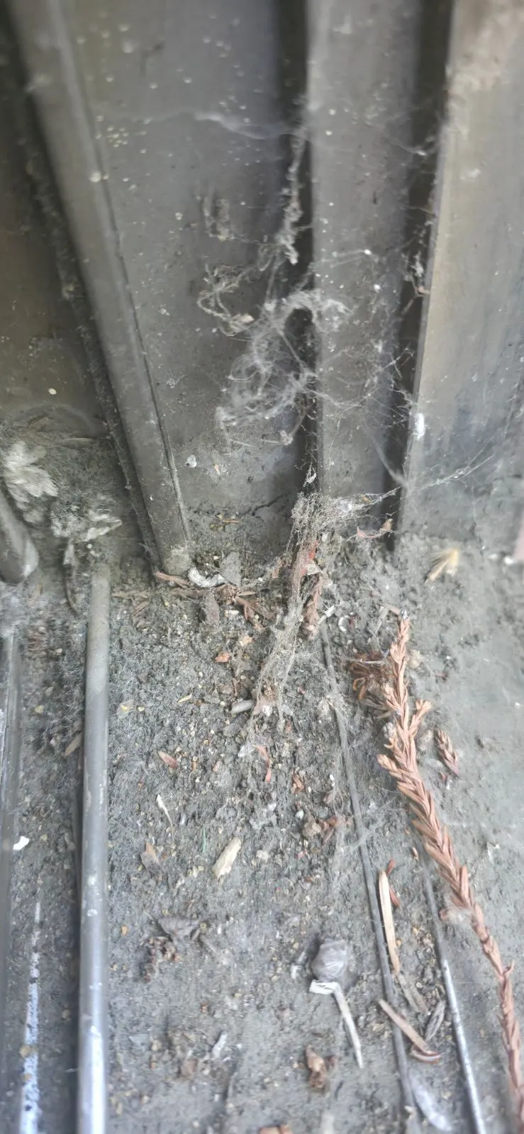 Before — House Cleaning in Sacramento, CA — October 2026