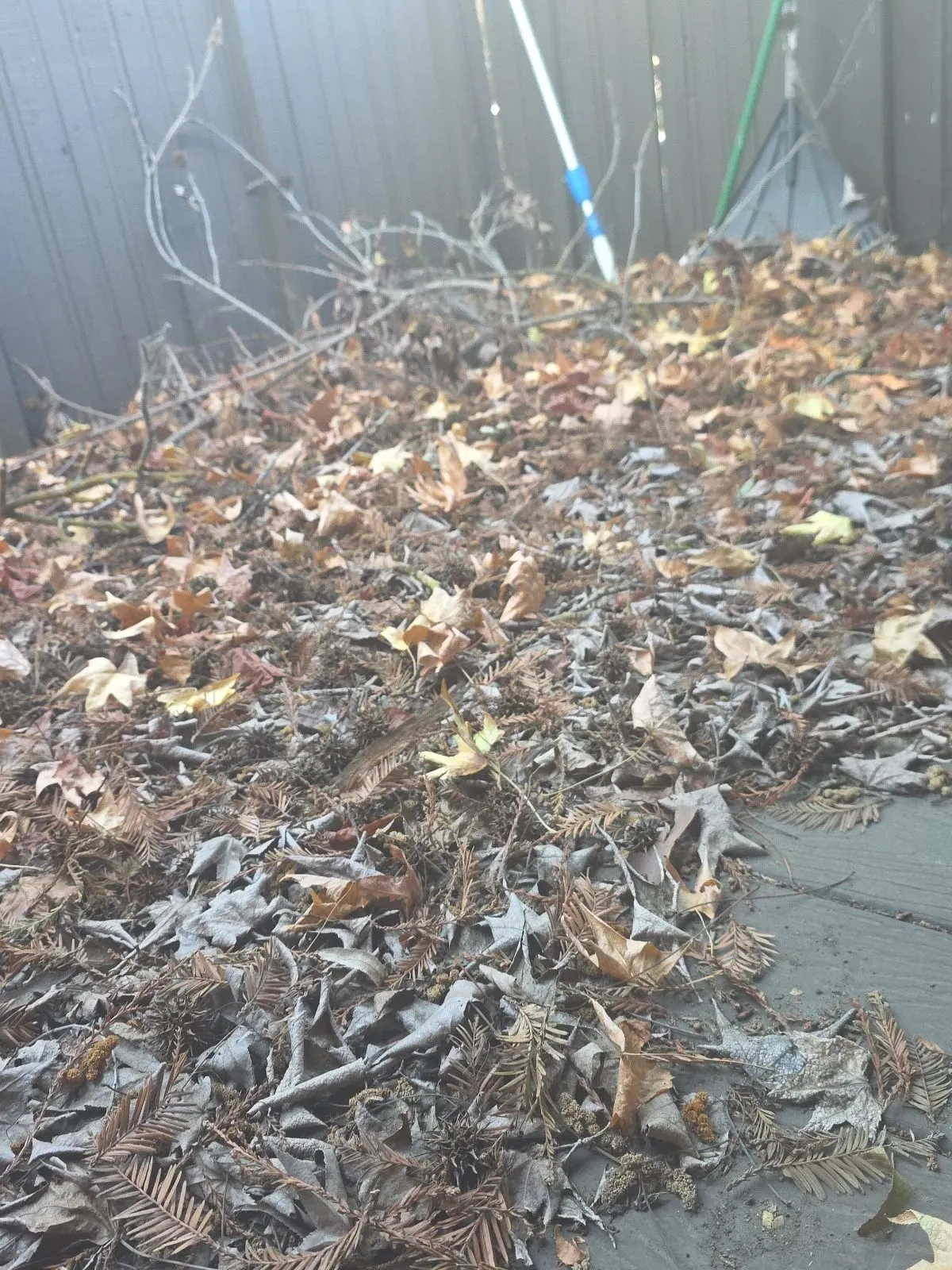 Before — House Cleaning in Sacramento, CA — October 2026
