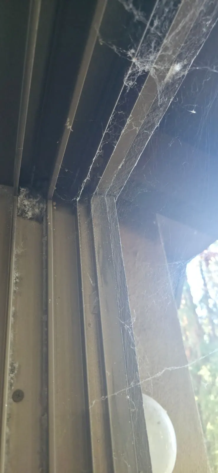 Before — House Cleaning in Sacramento, CA — October 2026