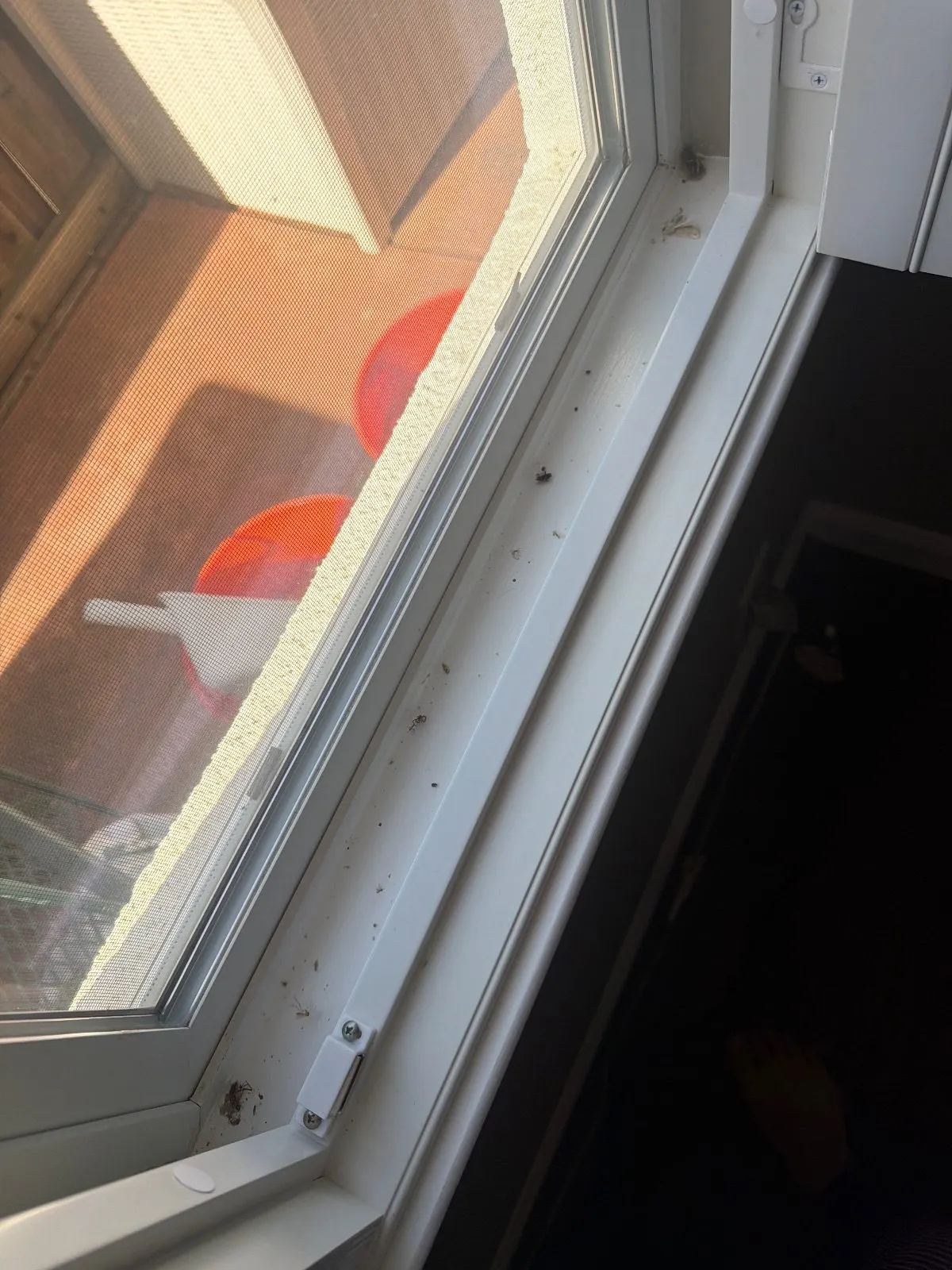 Before — House Cleaning in Rocklin, CA — October 2026