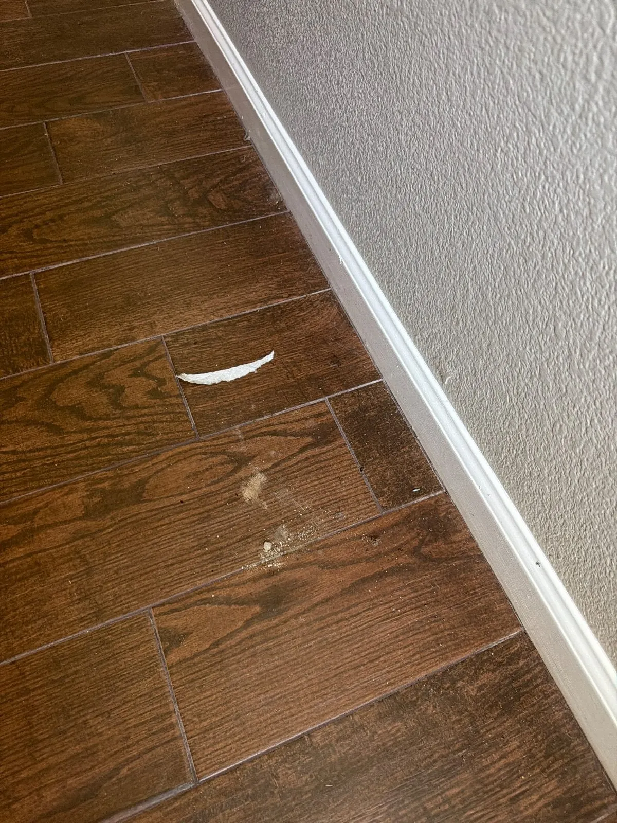 Before — House Cleaning in Rocklin, CA — October 2026