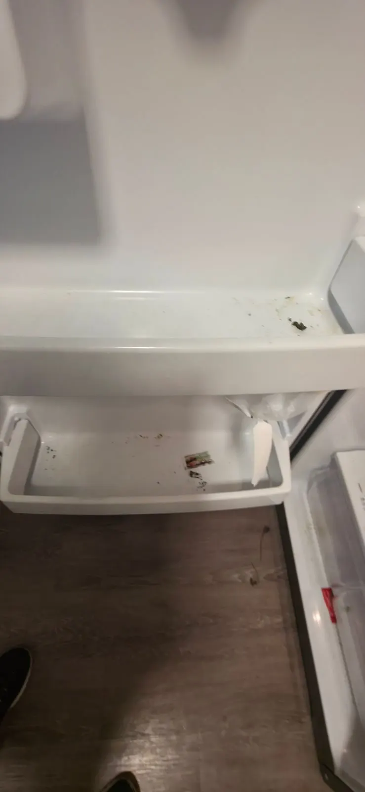 Before — House Cleaning in Citrus Heights, CA — October 2026