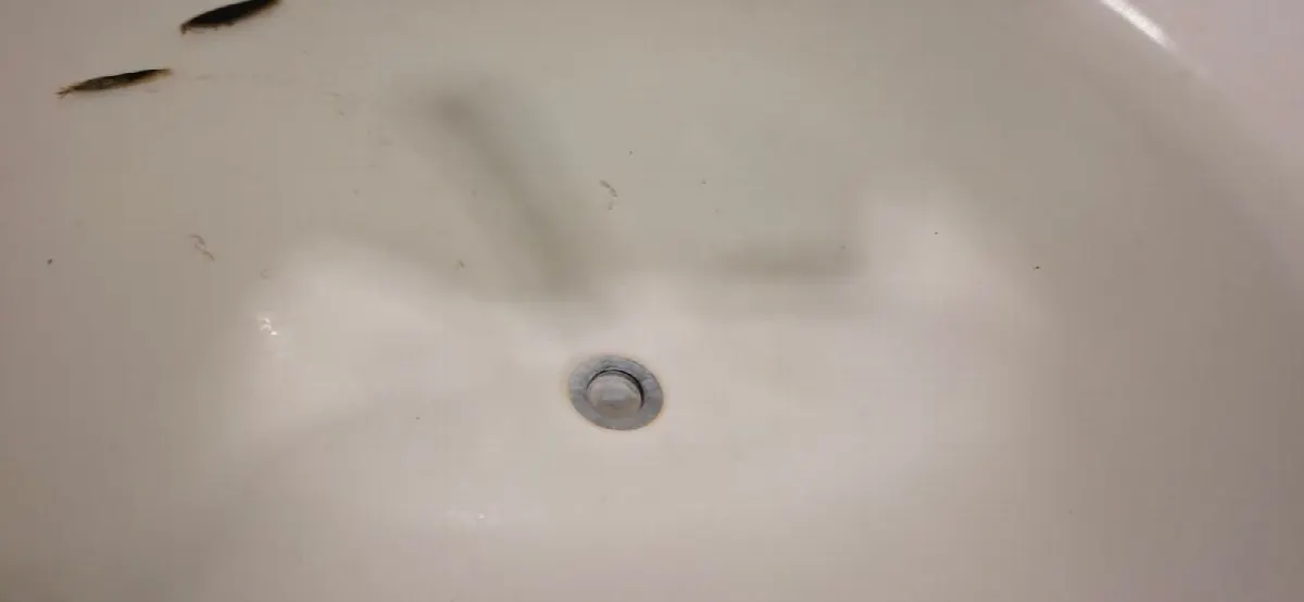 Before — House Cleaning in Citrus Heights, CA — October 2026