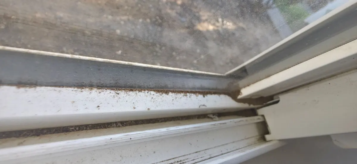 Before — House Cleaning in Citrus Heights, CA — October 2026
