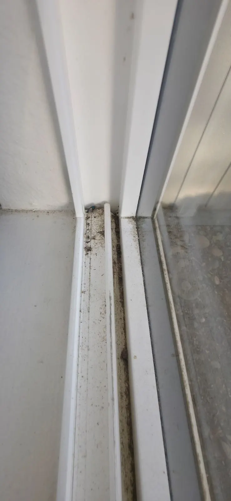 Before — House Cleaning in Citrus Heights, CA — October 2026