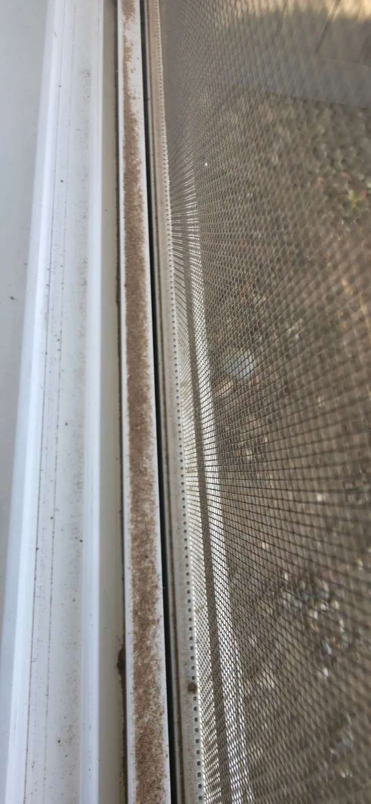 Before — House Cleaning in Citrus Heights, CA — October 2026